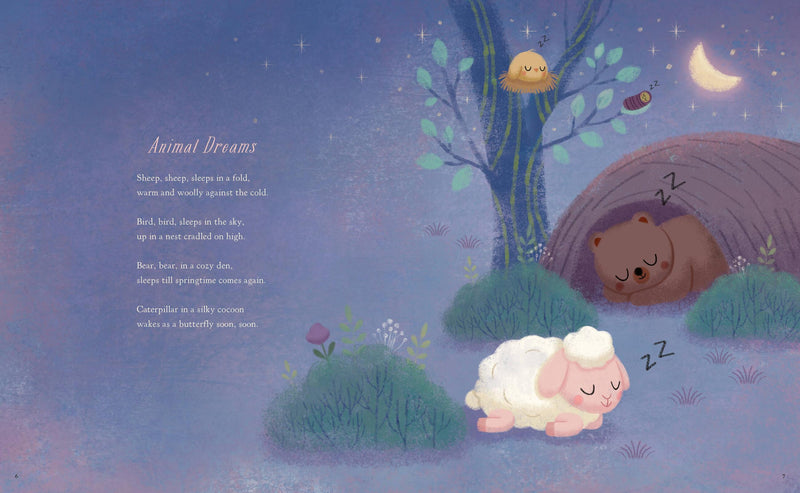 Starry Blankets