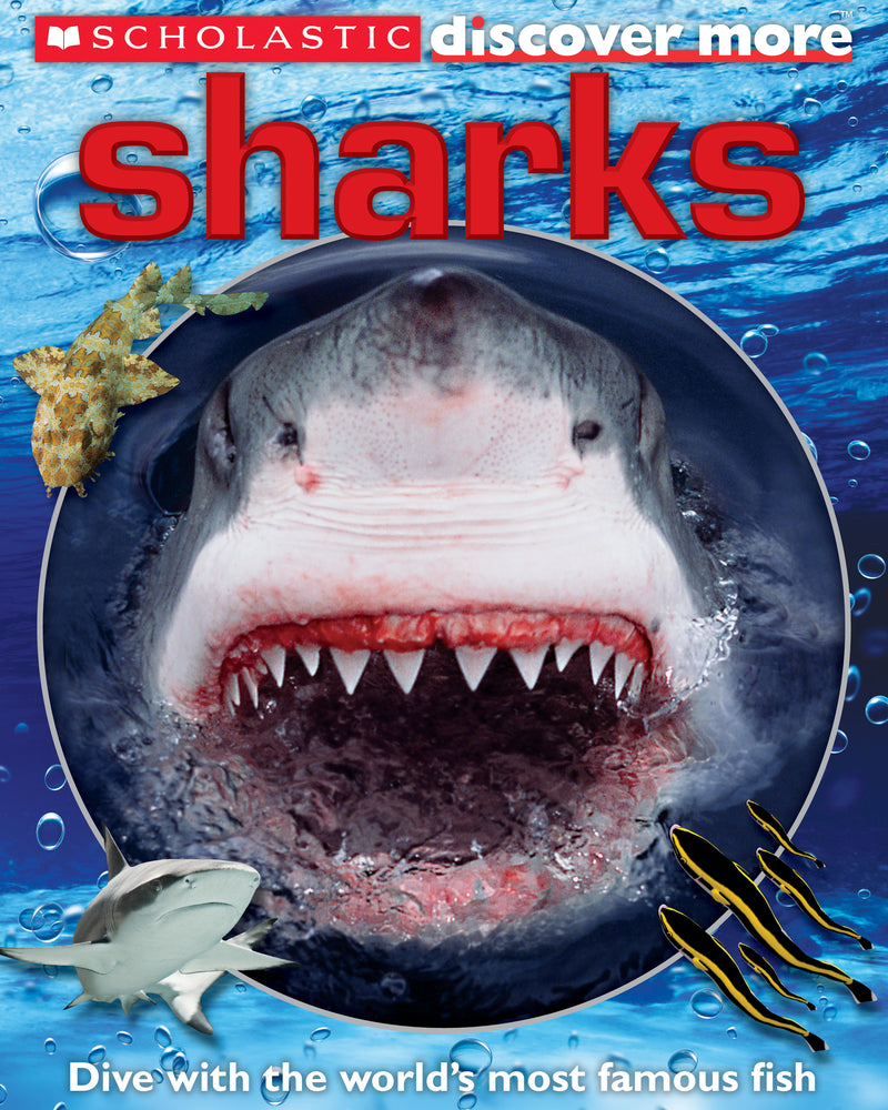 Scholastic Discover More: Sharks
