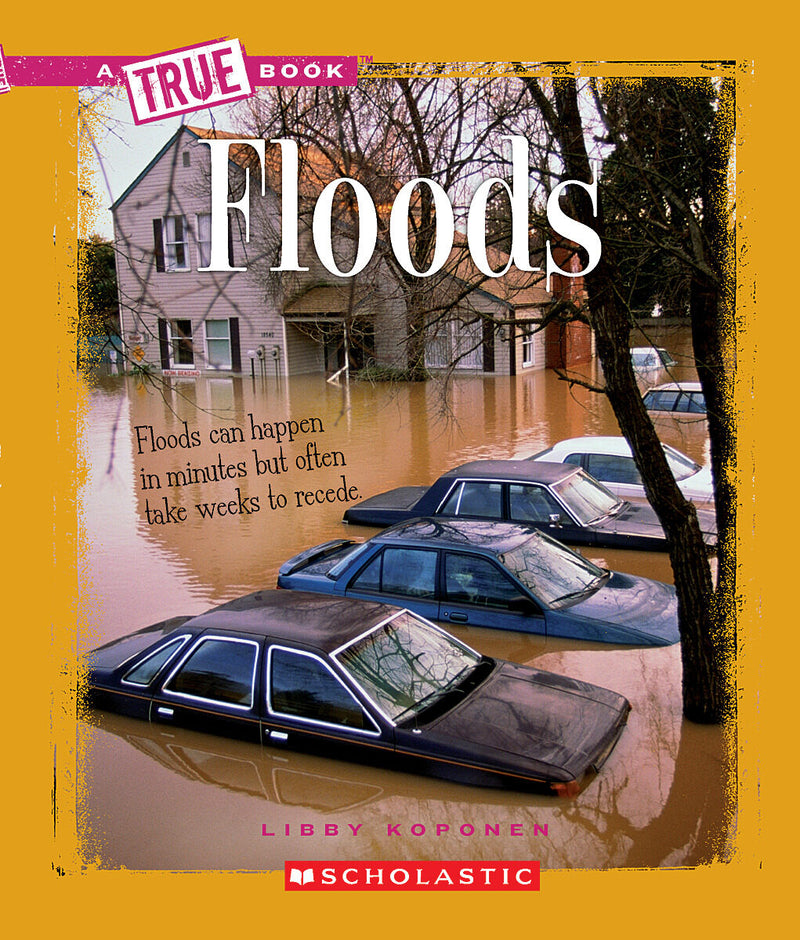 Floods (A True Book: Earth Science)