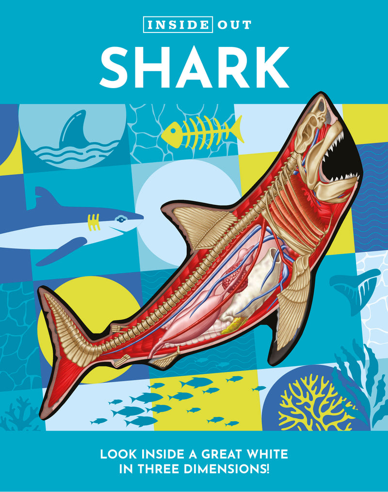 Inside Out Shark
