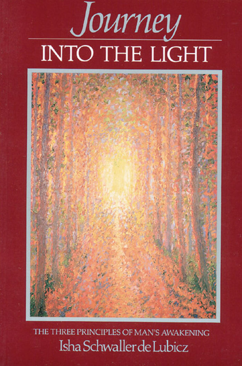 Journey into the Light