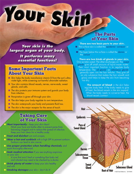 Your Skin Chart