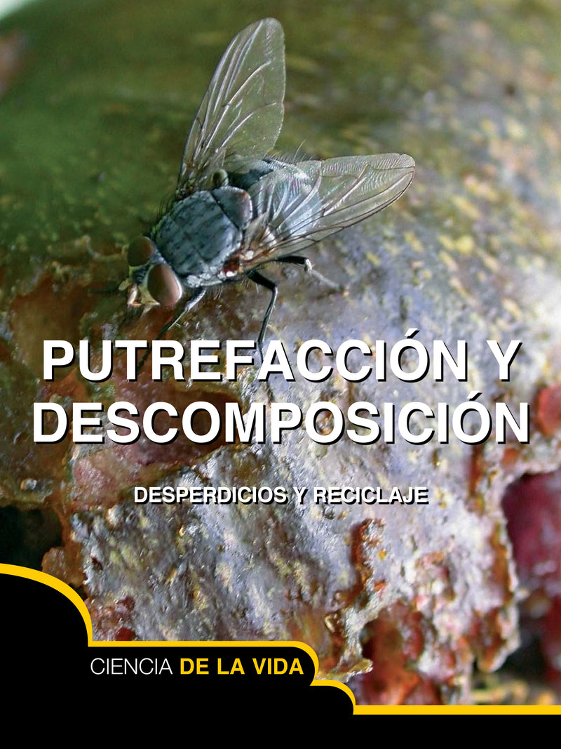 Putrefacción y descomposición: Rot and Decay