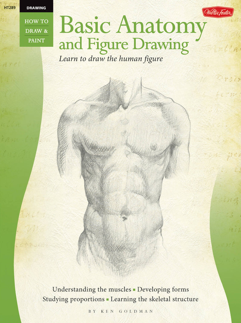 Drawing: Basic Anatomy and Figure Drawing