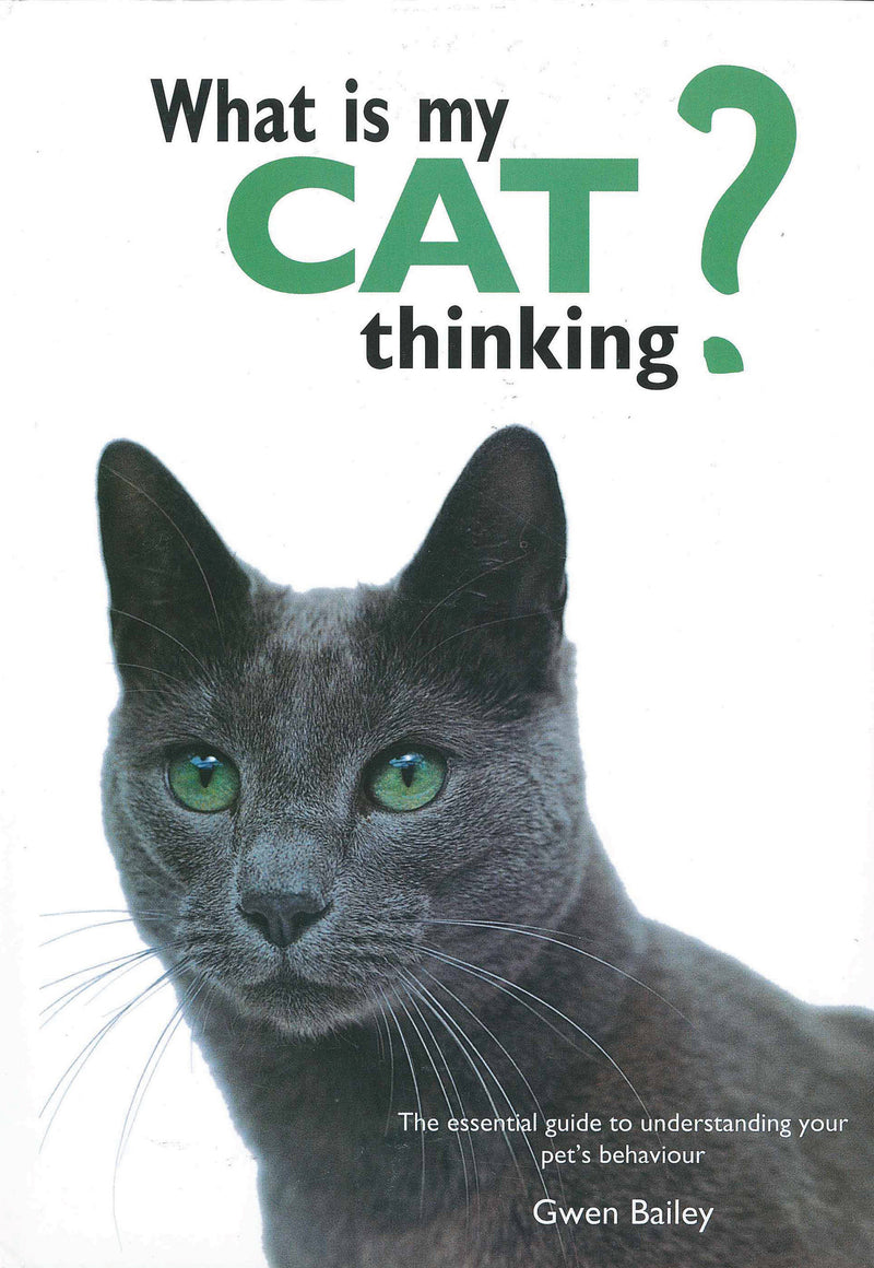 What is My Cat Thinking?