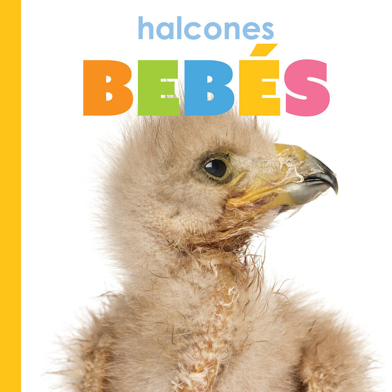 Halcones bebes