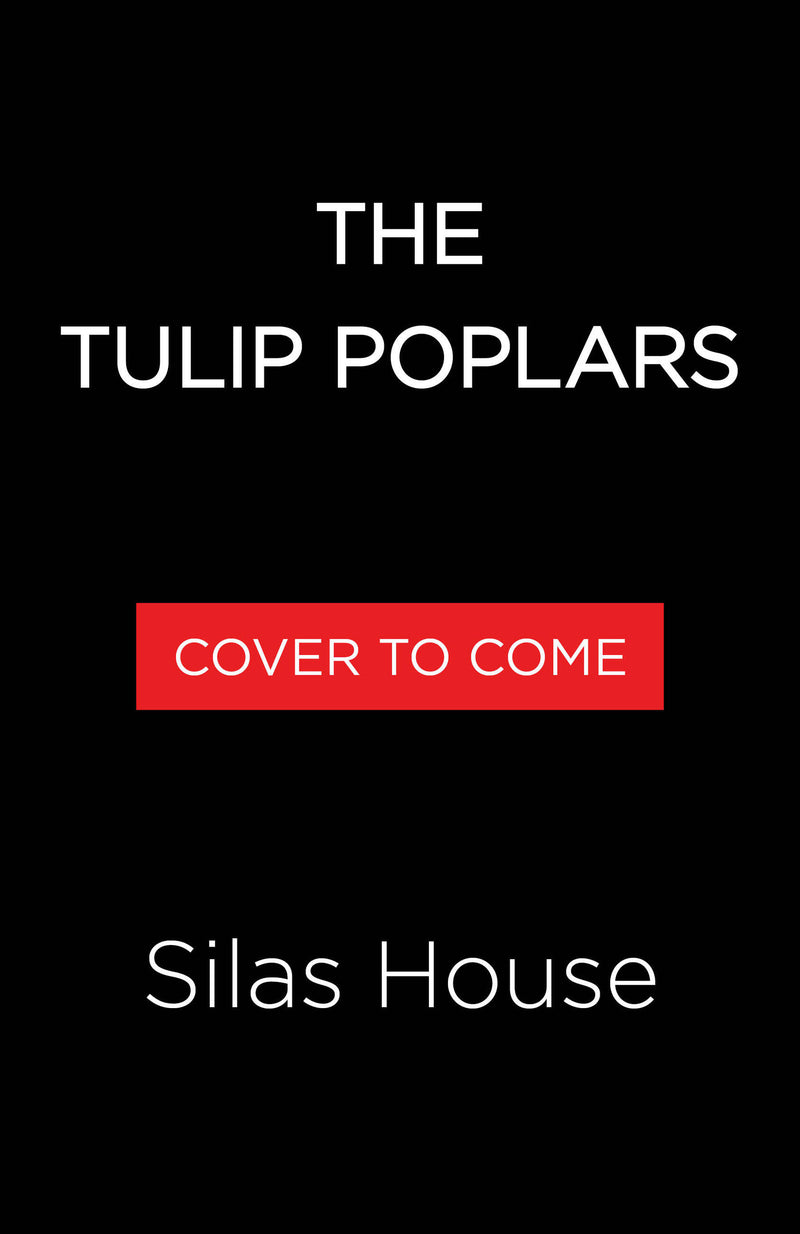 The Tulip Poplars