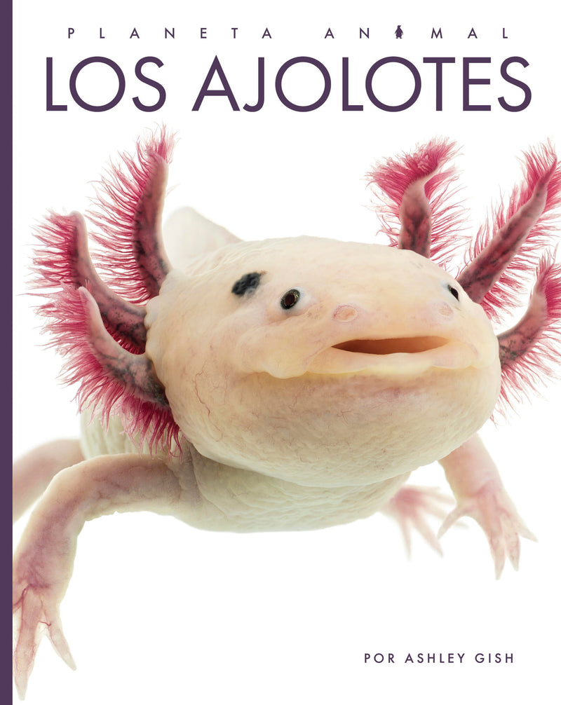 Los ajolotes