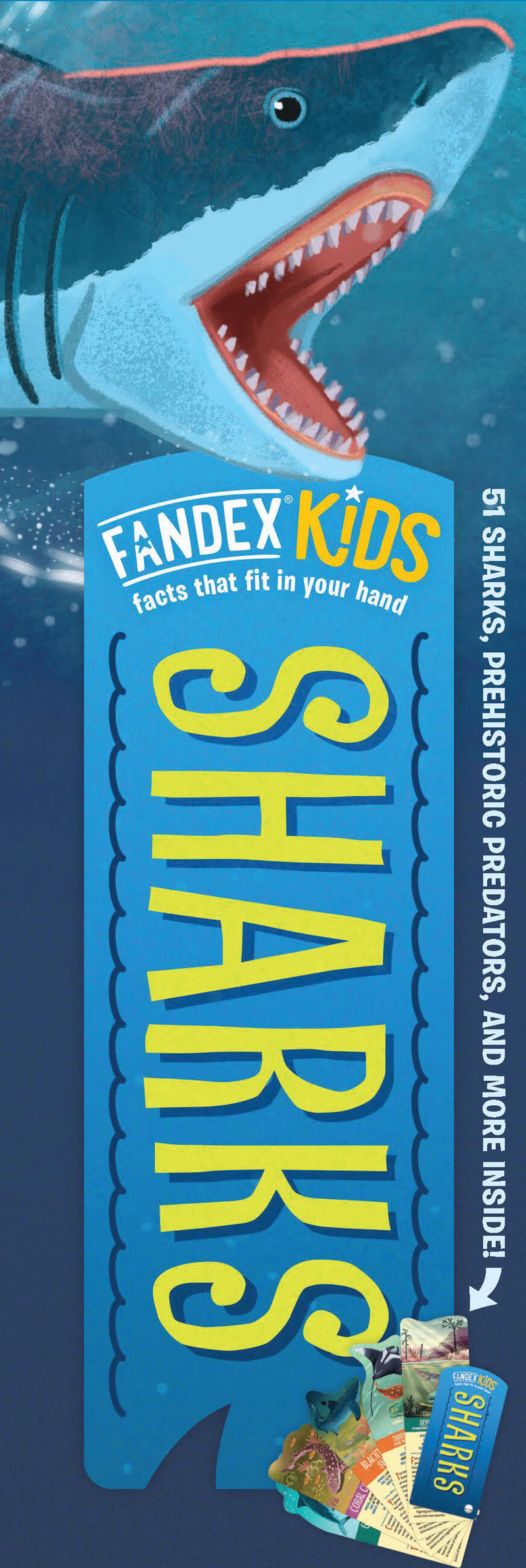 Fandex Kids: Sharks