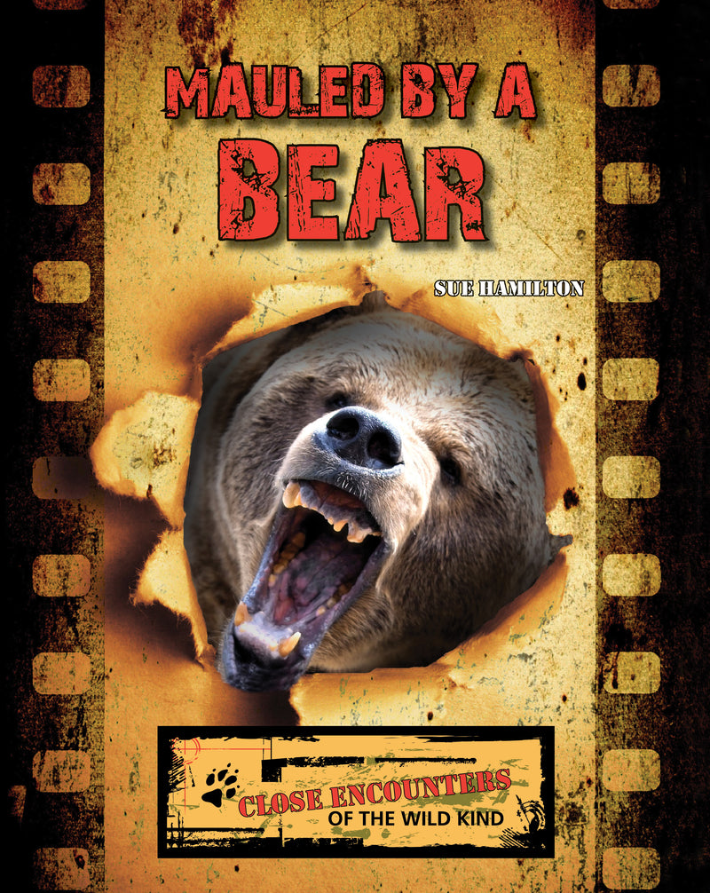 Mauled by a Bear