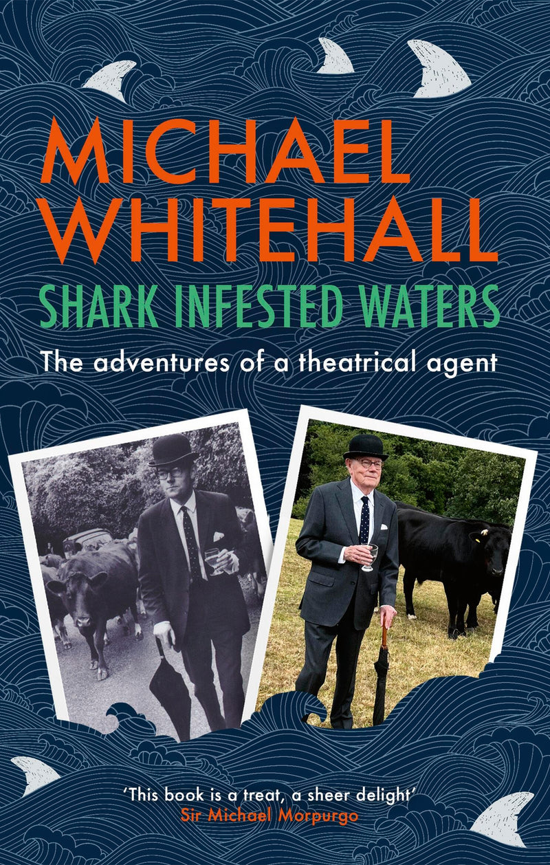 Shark-Infested Waters