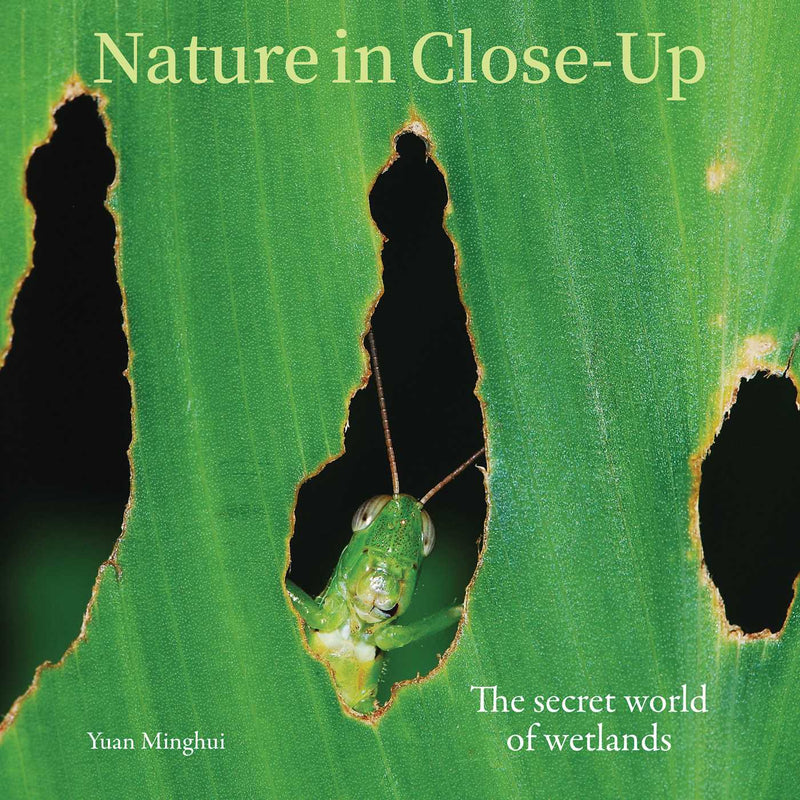 Nature in Close Up