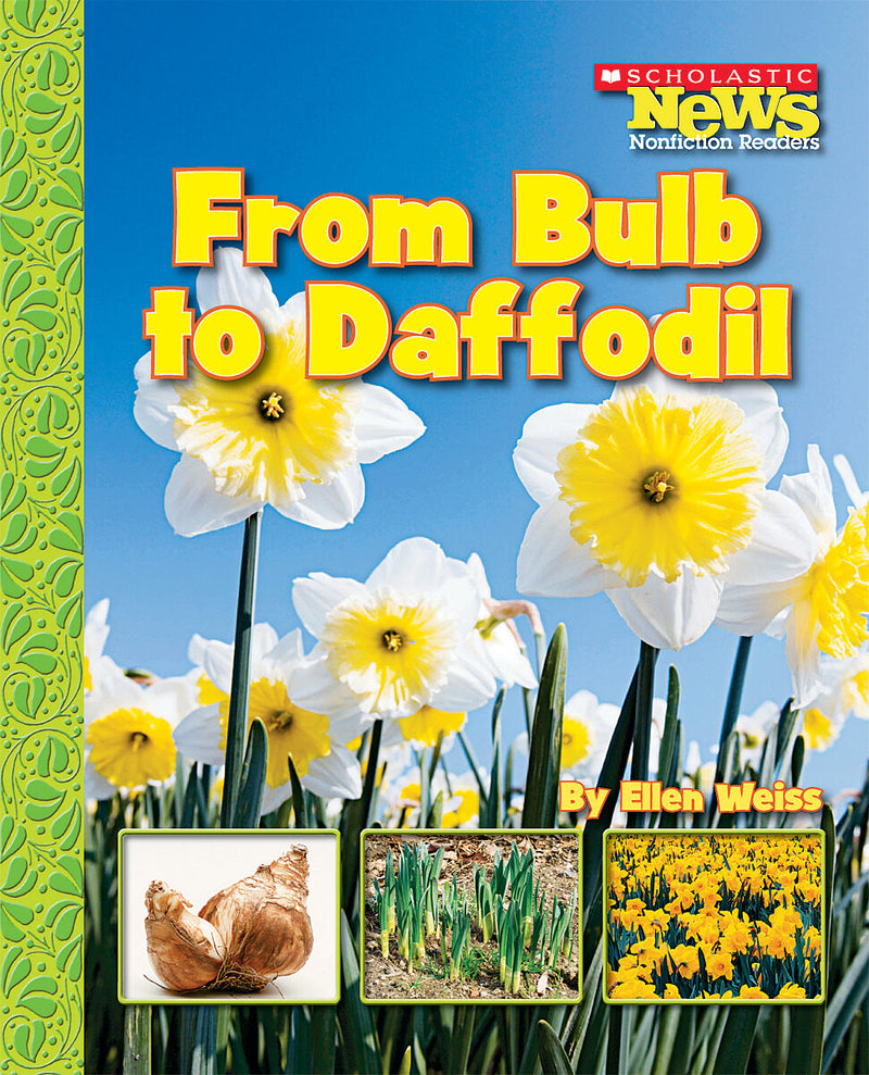 From Bulb to Daffodil (Scholastic News Nonfiction Readers: How Things Grow)