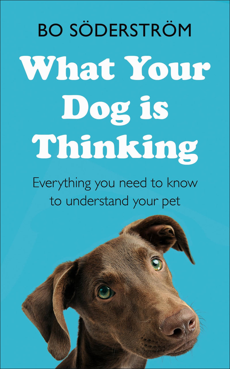 What your Dog is Thinking