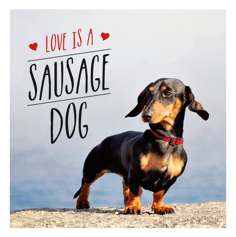Love Is a Sausage Dog