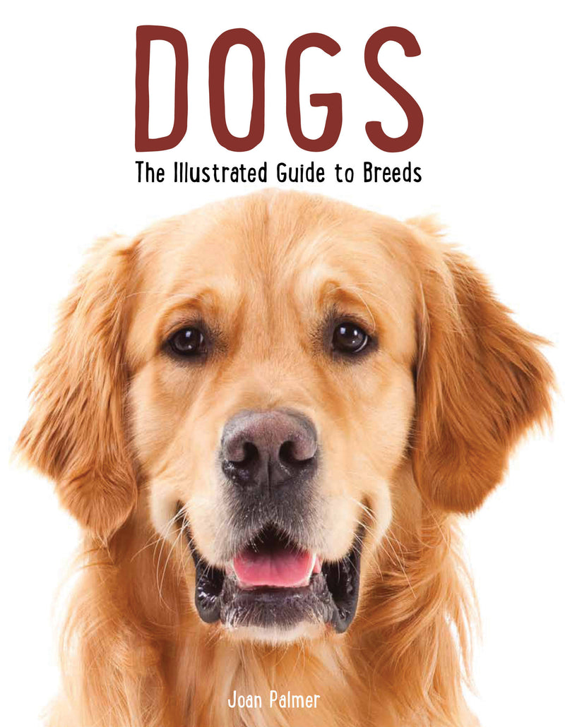 Dogs