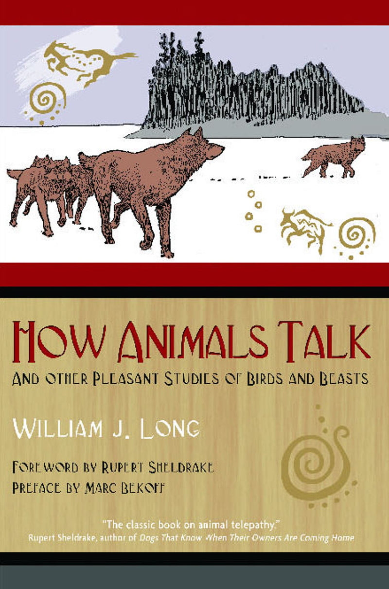 How Animals Talk