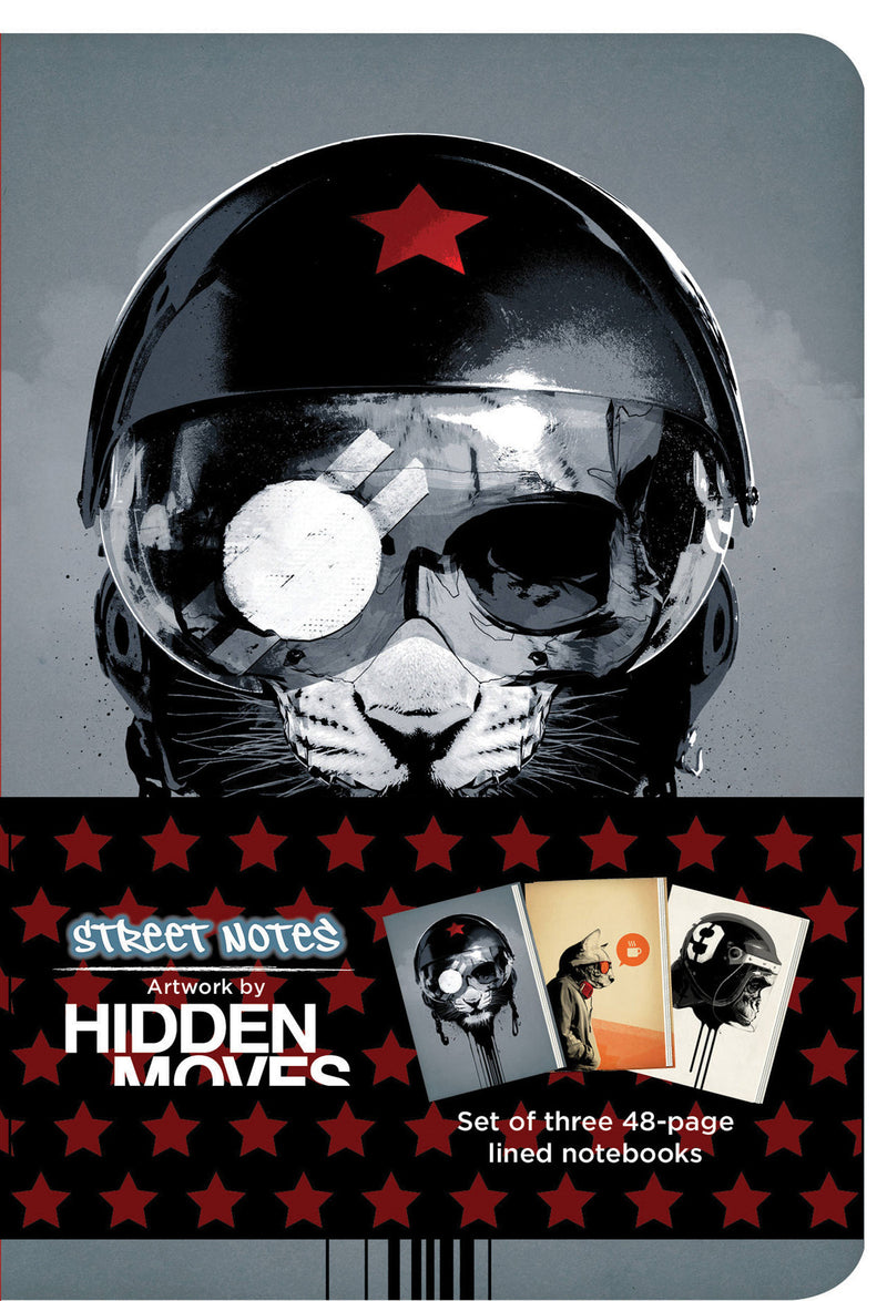 Street Notes Artwork by Hidden Moves (small)