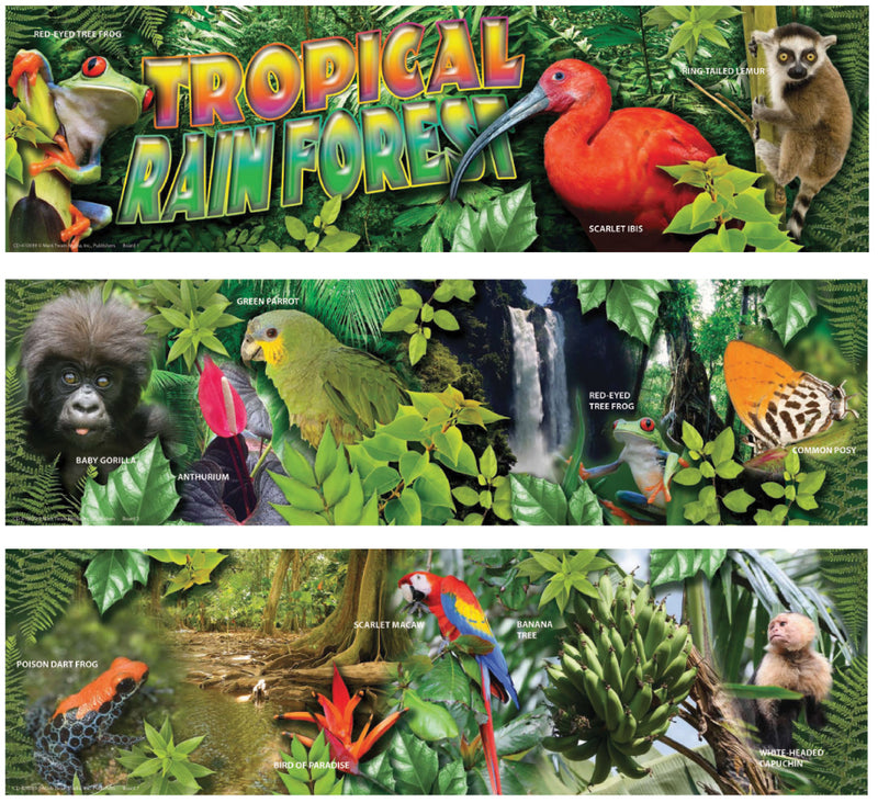 Tropical Rain Forest Mini Bulletin Board Set