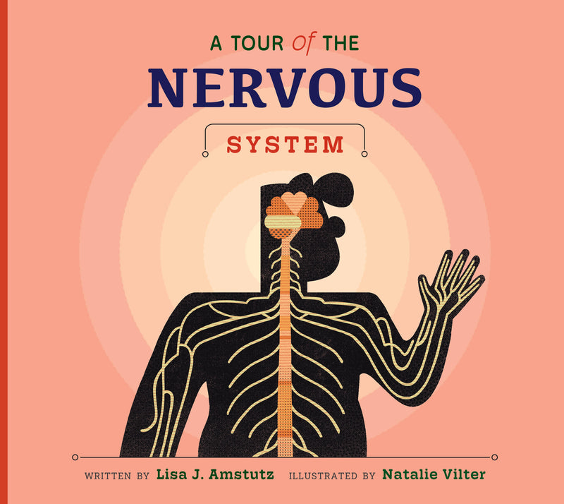 A Tour of the Nervous System