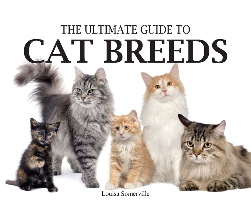 Ultimate Guide to Cat Breeds
