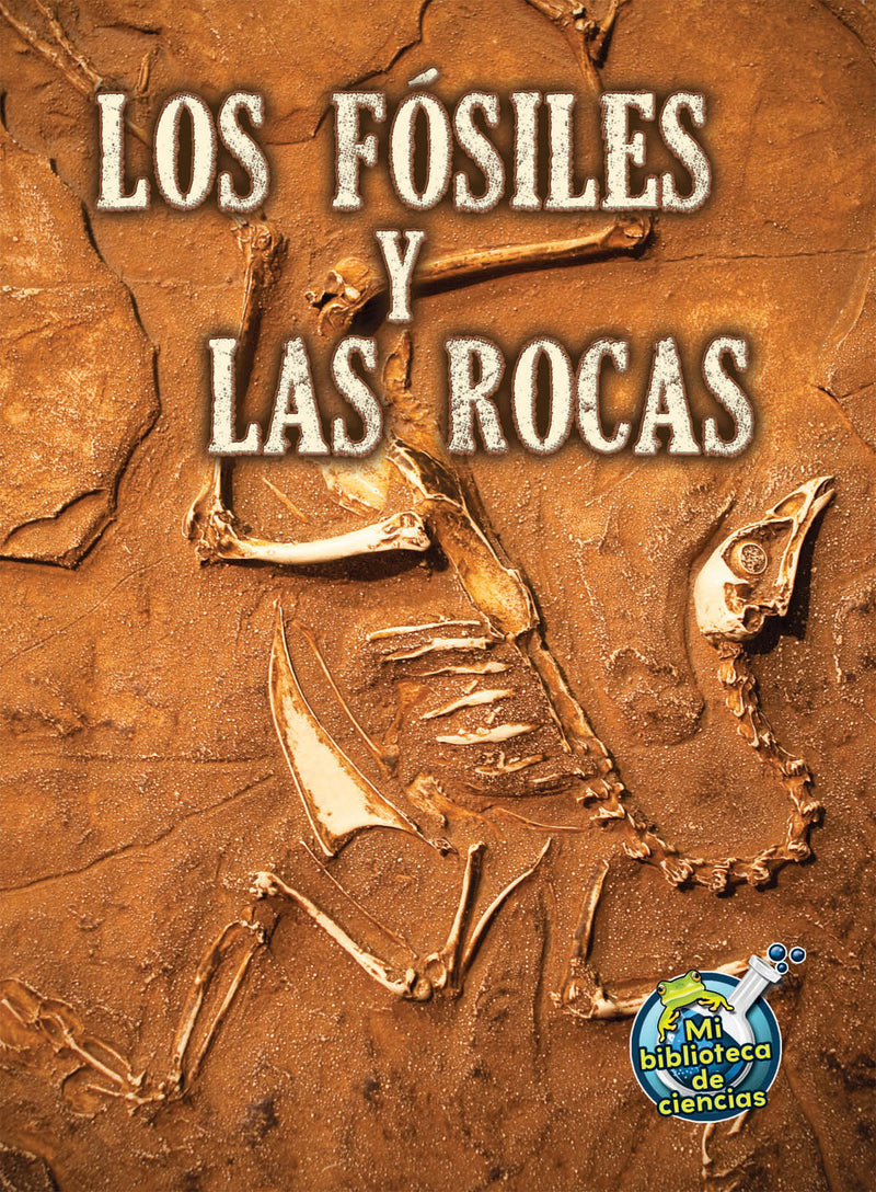 Los fósiles y las rocas: Fossils and Rocks