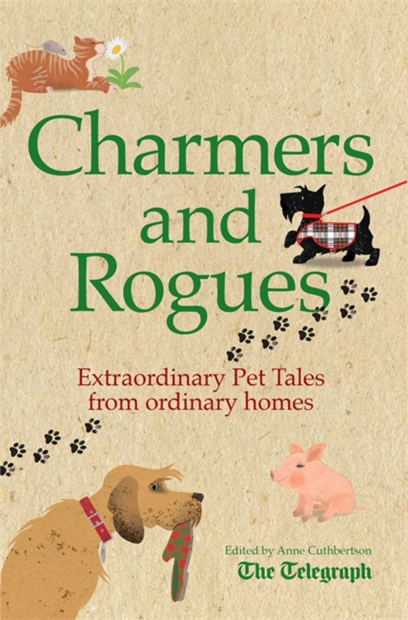 Charmers and Rogues