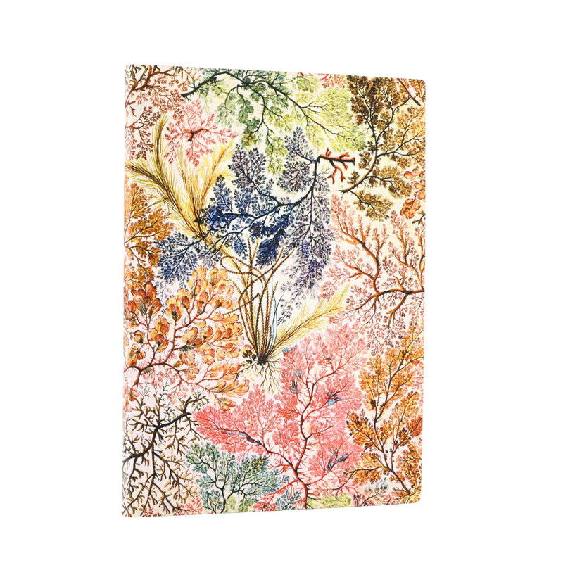 Anemone Midi Unlined Softcover Journal, 176pg, 100GSM by Paperblanks (William Kilburn)