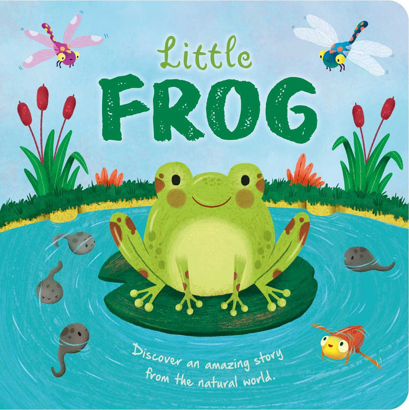 Nature Stories: Little Frog-Discover an Amazing Story from the Natural World