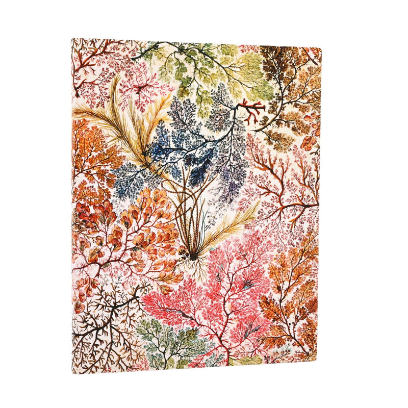 Anemone Ultra Lined Softcover Journal, 176pg, 100GSM by Paperblanks (William Kilburn)