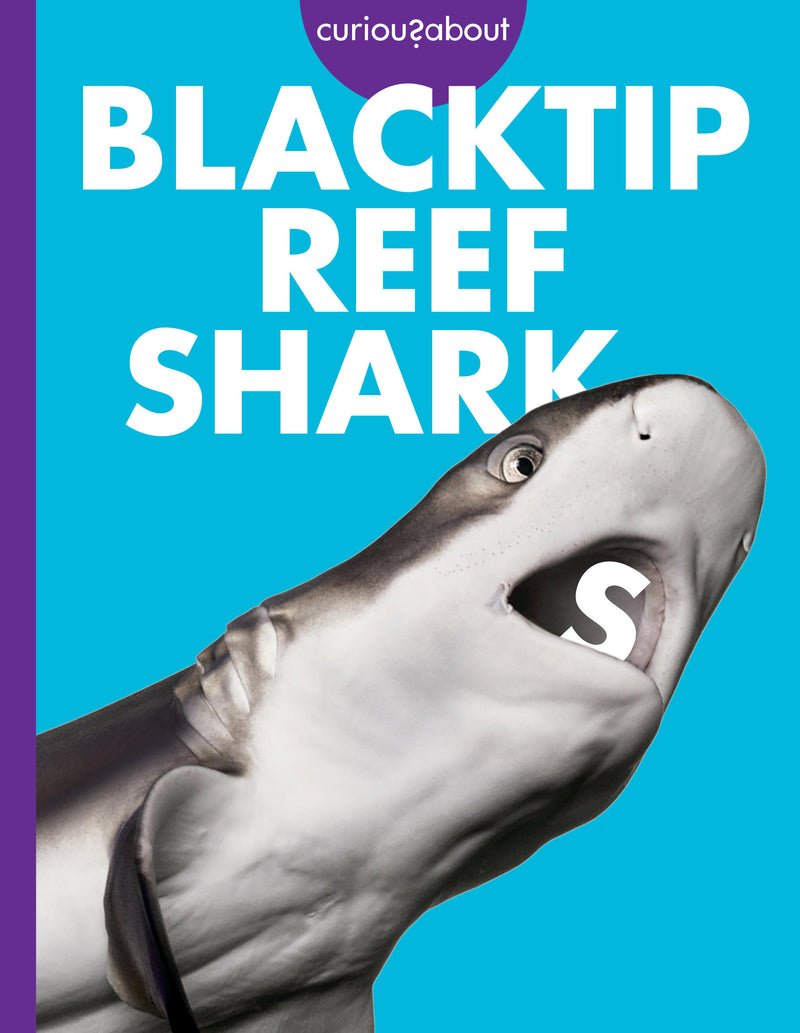 Curious about Blacktip Reef Sharks