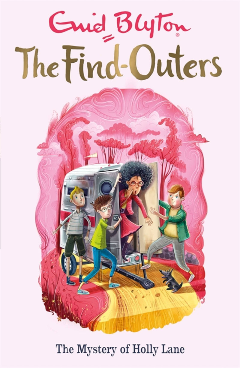 The Find-Outers: 11: The Mystery of Holly Lane