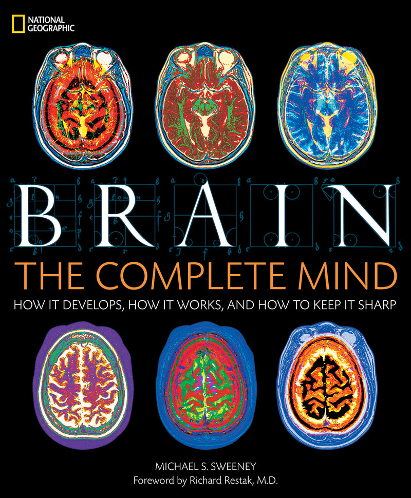 Brain
