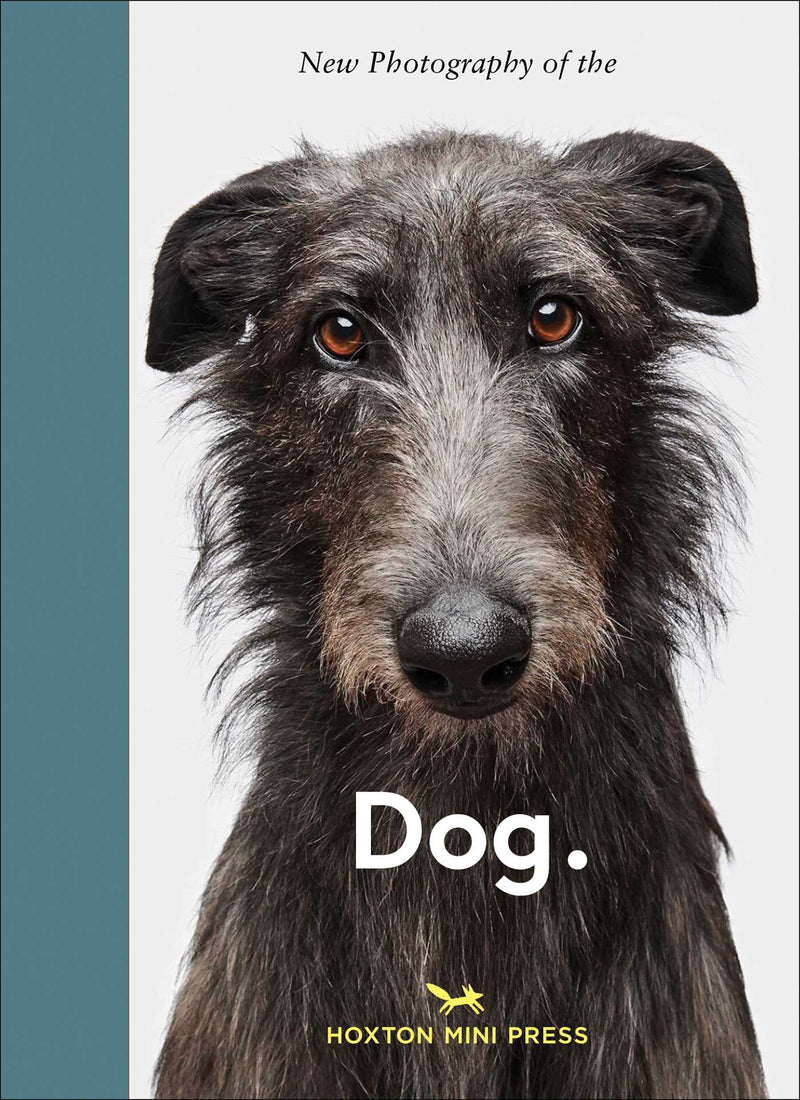 New Photography of the Dog.