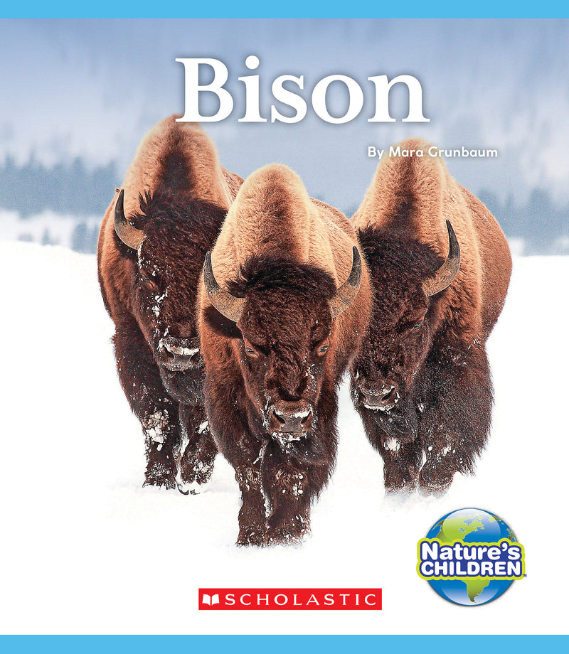 Bison (Nature's Children)