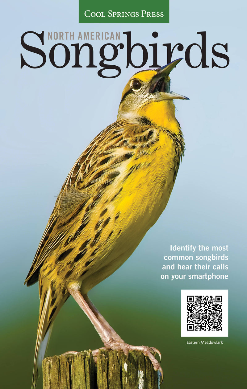 North American Songbirds