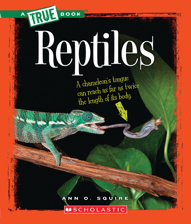 Reptiles (A True Book: Animal Kingdom)