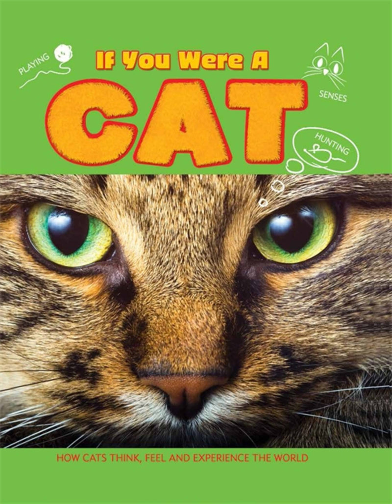 If You Were A: Cat
