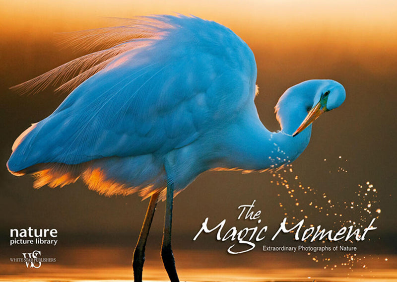The Magic Moment