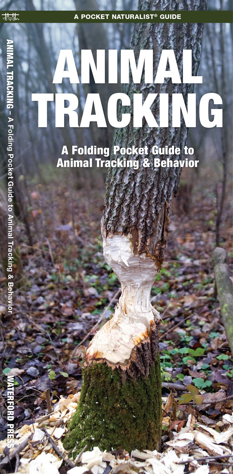 Animal Tracking