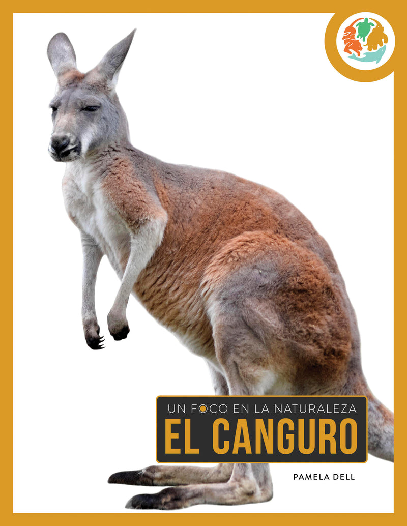 El canguro