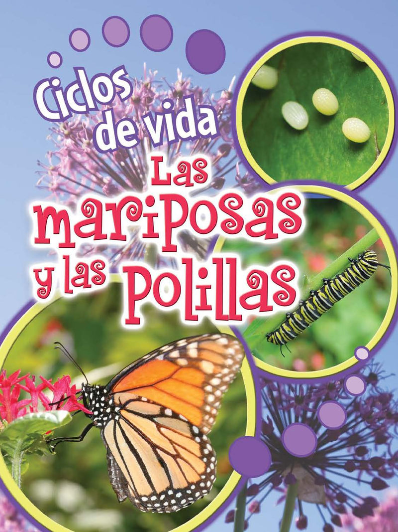 Ciclos de vida de las mariposas y las polillas: Butterflies and Moths