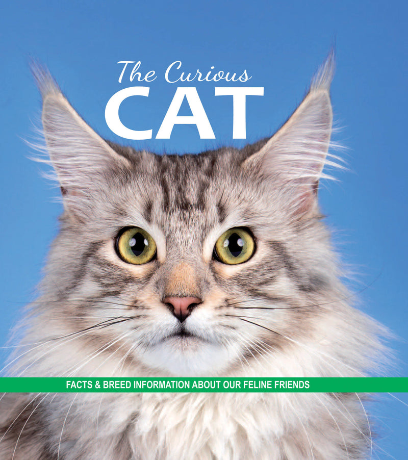 The Curious Cat