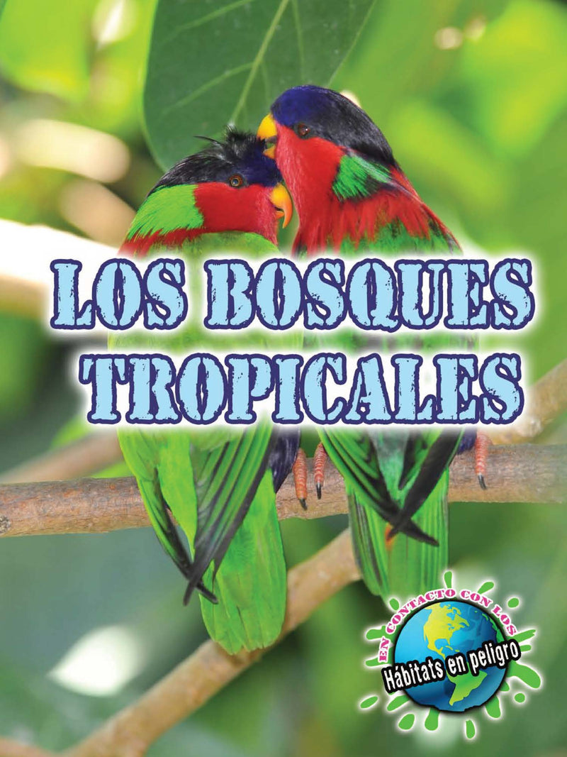 Los bosques tropicales: Rainforests