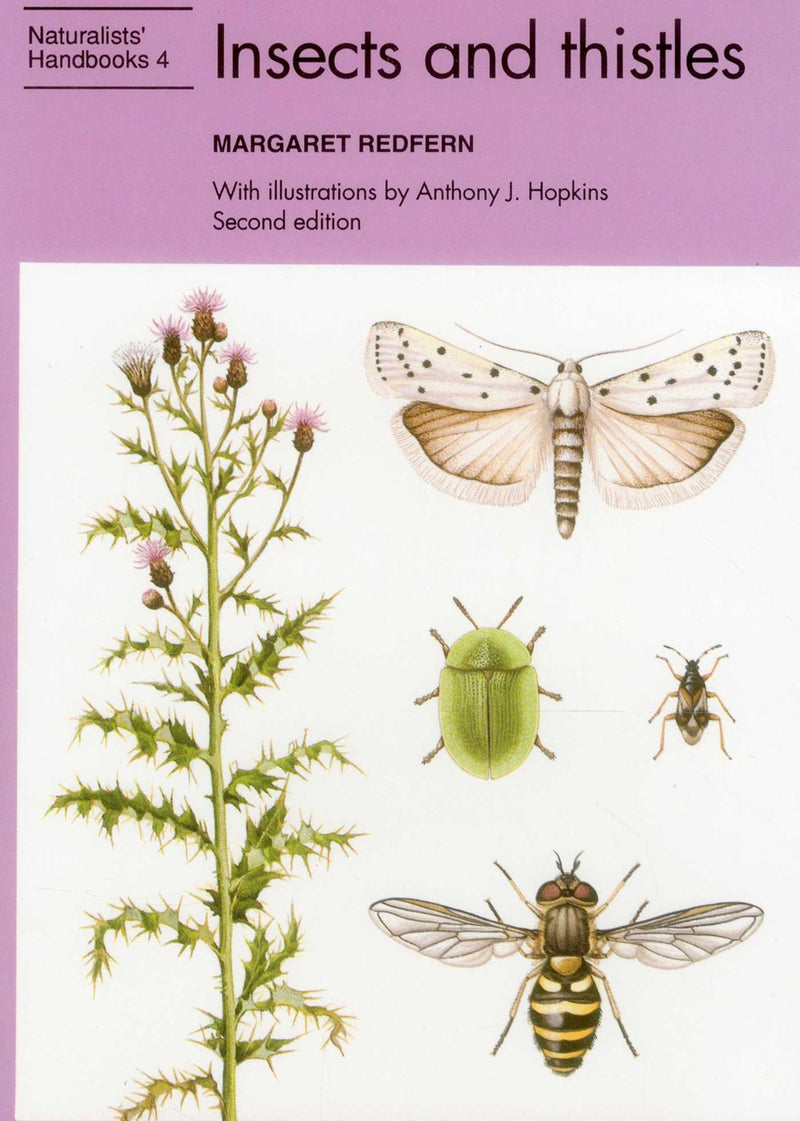 Insects and Thistles