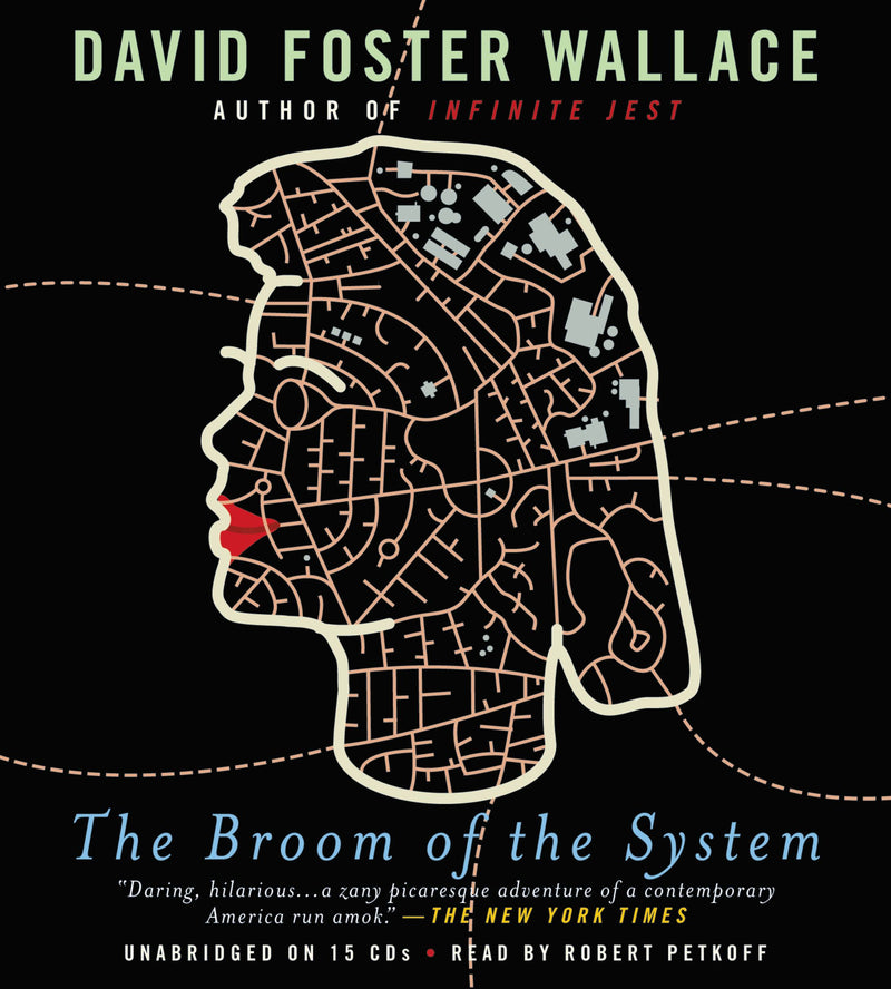 The Broom of the System