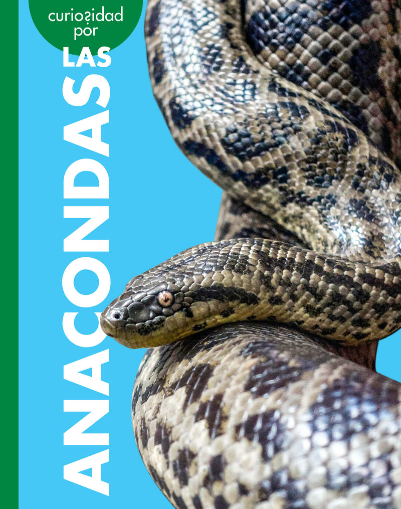 Curiosidad por las anacondas