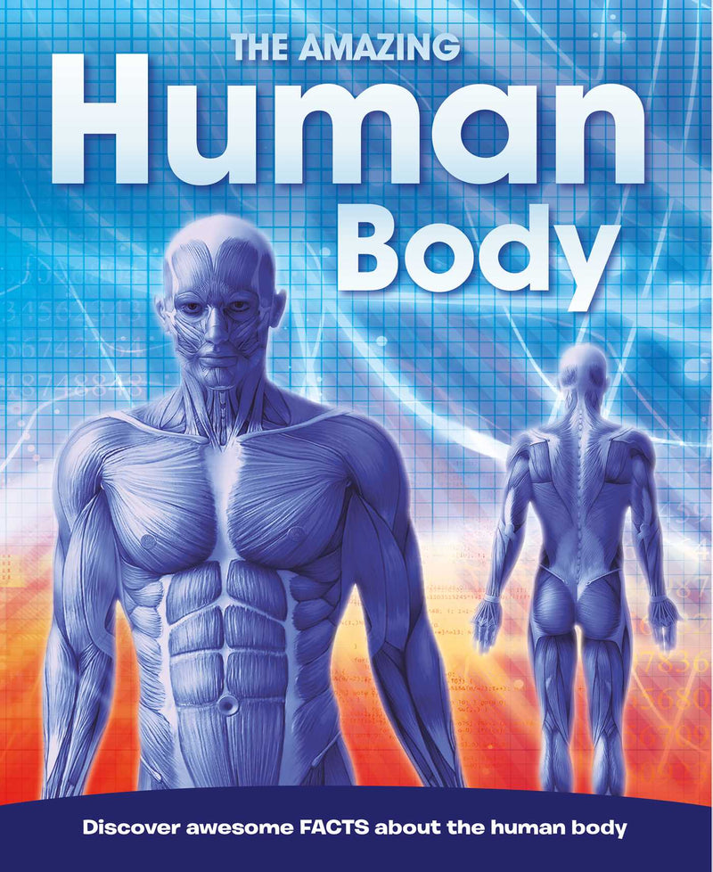 The Amazing Human Body