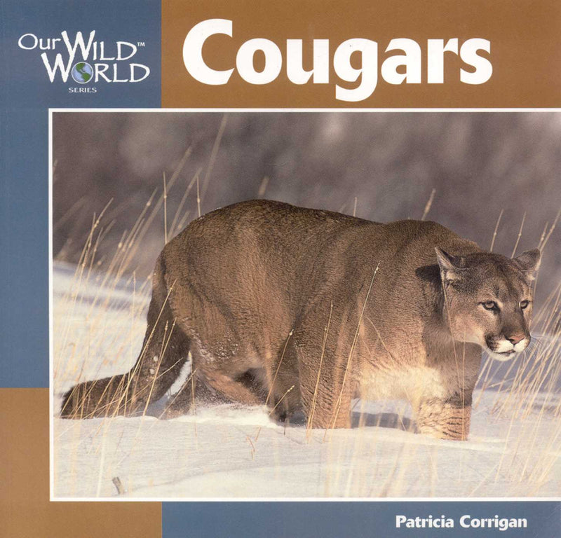 Our Wild World