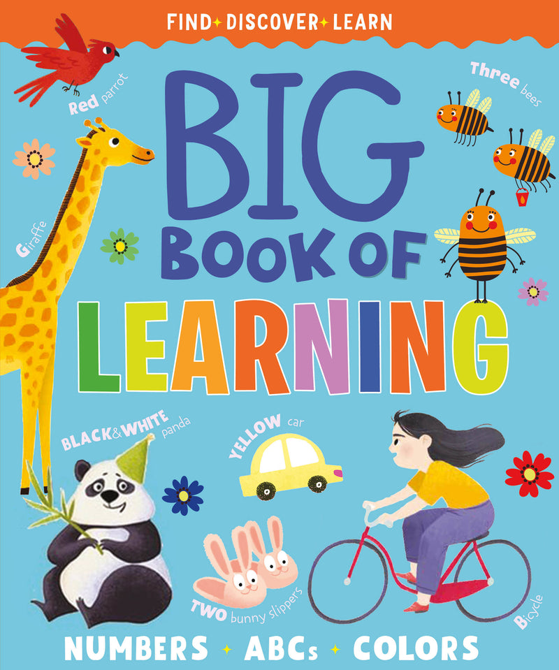 Big Book of Learning